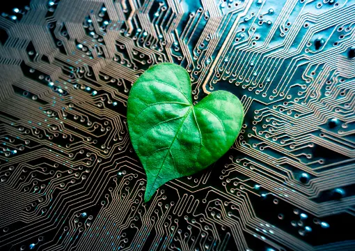 ag捕鱼官网平台案例